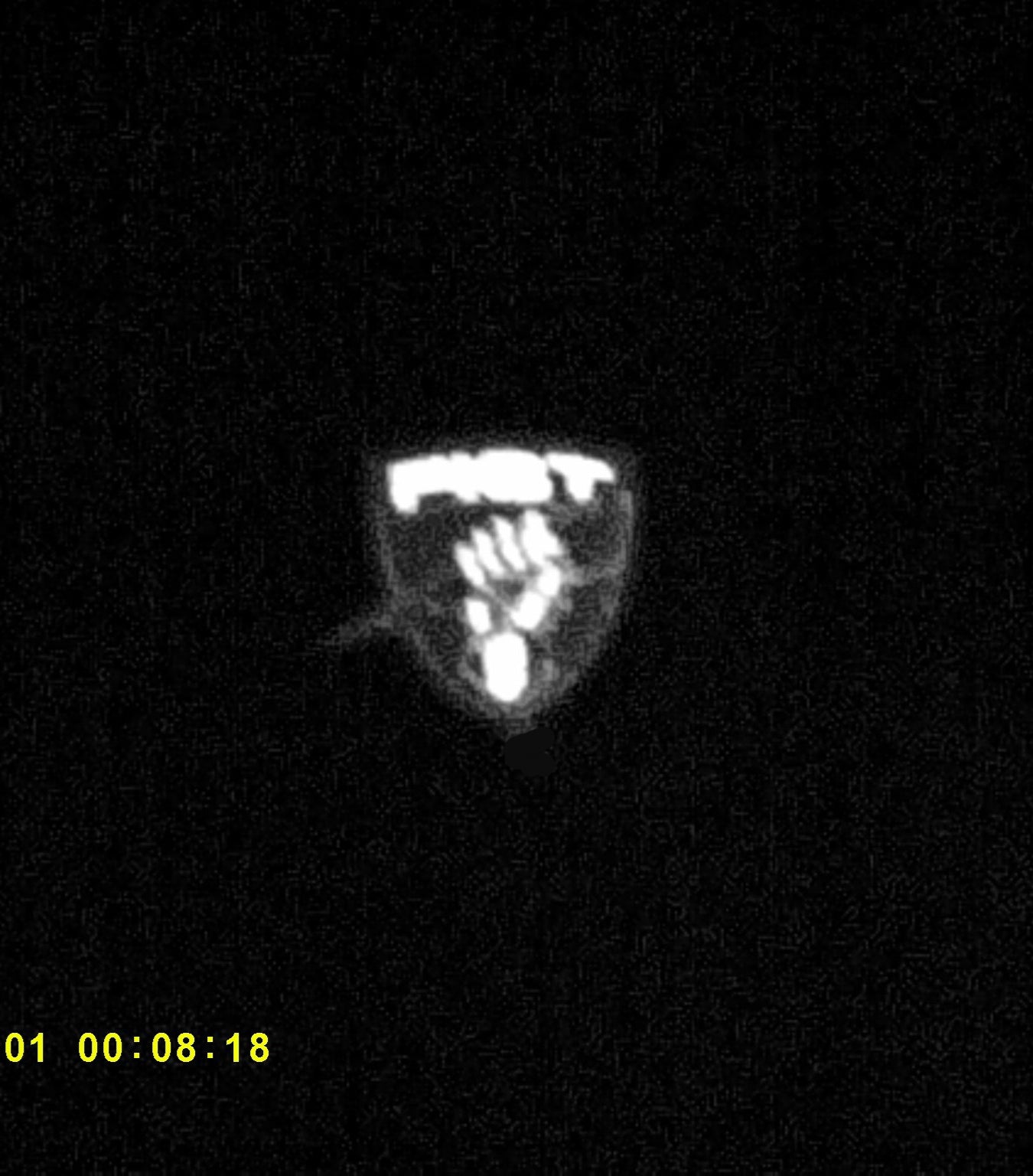INFRARED FIST SHIELD PATCH
