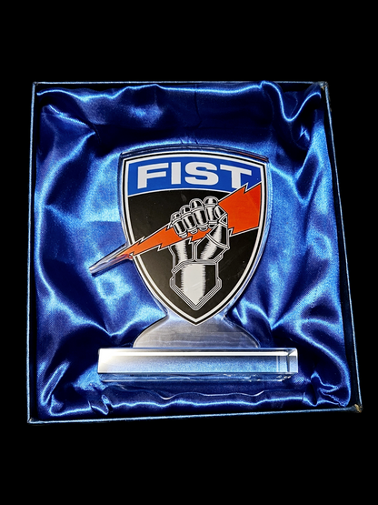 Fist award trophy